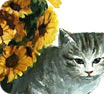 Cat and yellow flowers
