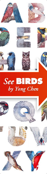Bird Alphabet poster on sale, with the autograph from the artist.