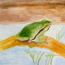 Watercolor painting by a student of Yong Chen: frog