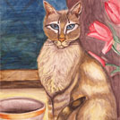 Watercolor painting by a student of Yong Chen: my cat