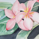 Watercolor painting by a student of Yong Chen: flowers