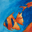 Watercolor painting by a student of Yong Chen: goldfish
