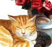 Cat and roses