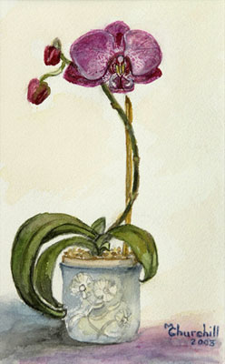 watercolor painting still-life of purple flower