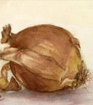 Watercolor painting still-life of a onion