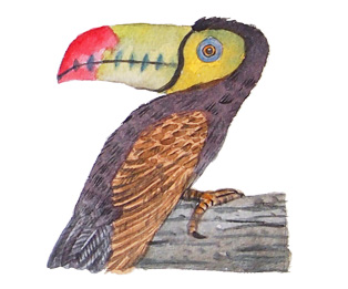 Watercolor painting of bird alphabet - Z is for Exotic Toucan