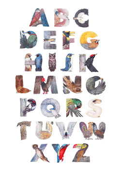 birds alphabets poster for sale
