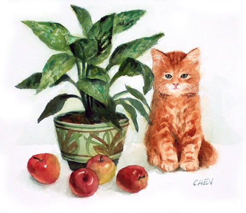 watercolor of cat and apples : watercolor print for sale