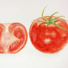 Watercolor painting by a student of Yong Chen: tomato