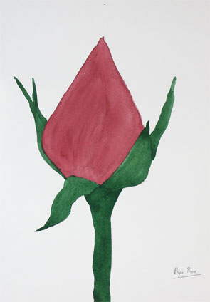 my first watercolor painting experience: watercolor painting of red rose by Phyu Than, a proud student of Yong Chen
